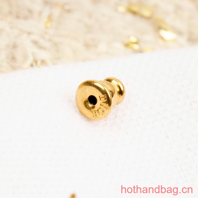 Dior Earrings CE13238