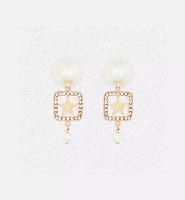 Dior Earrings CE14855