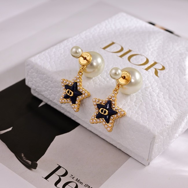 Dior Earring CE15818