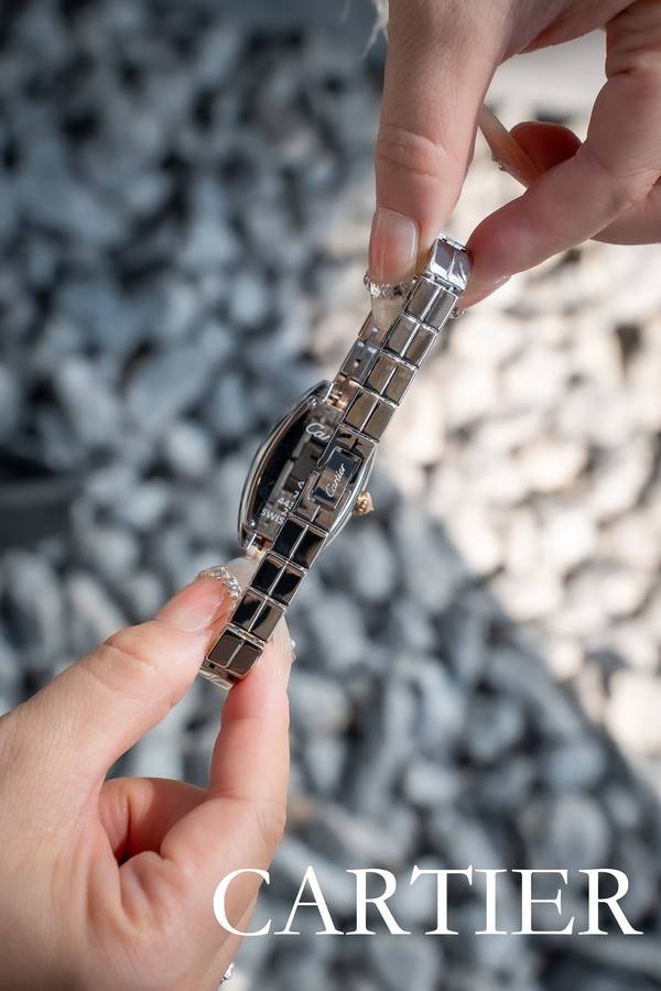 Cartier Watch CTW00723-1