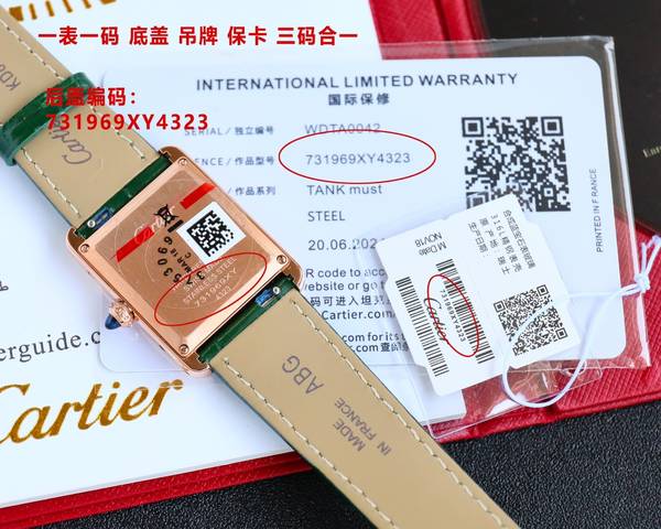 Cartier Watch CTW00724-1