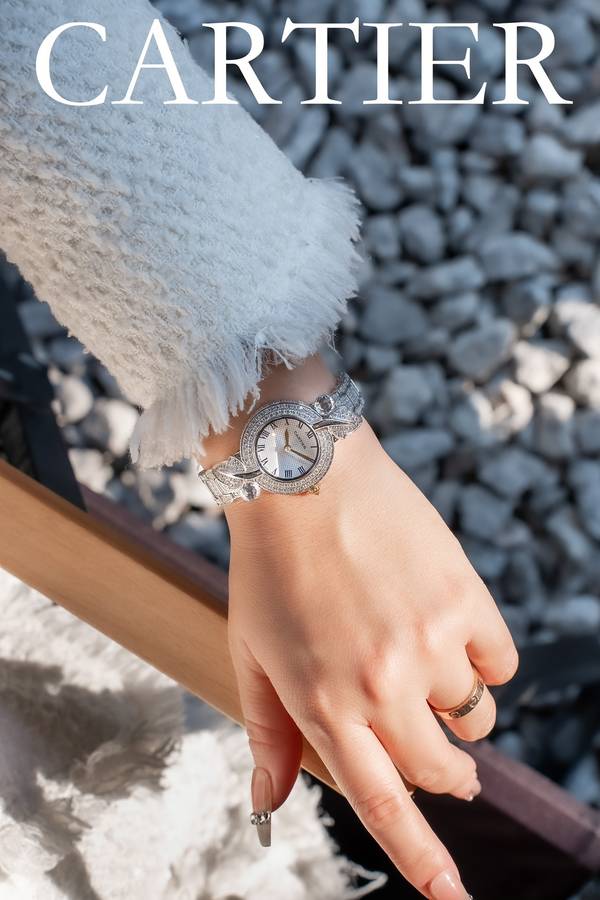 Cartier Watch CTW00734-1