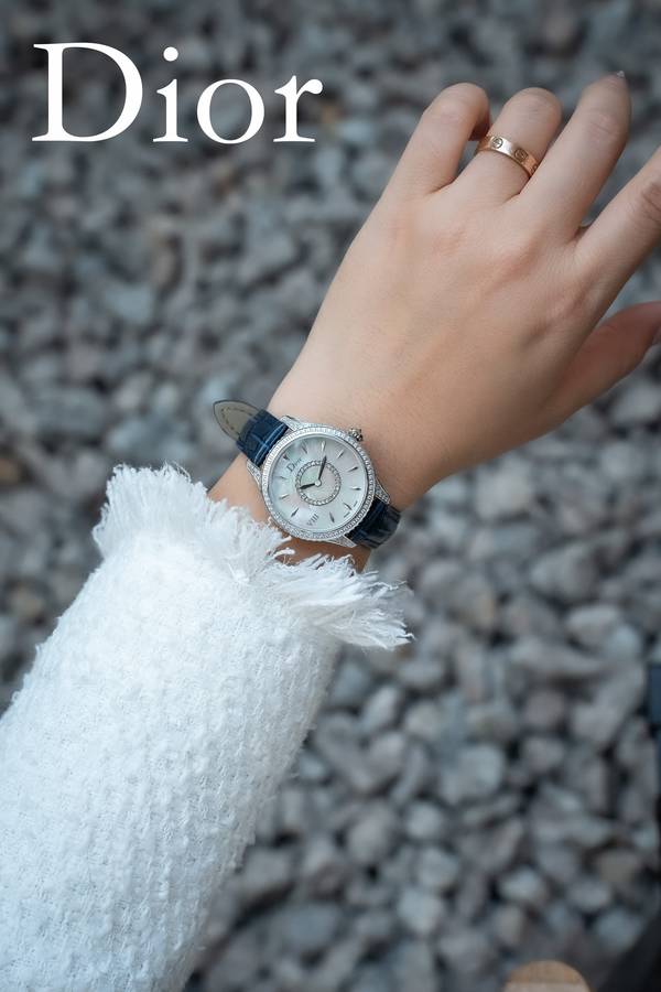 Dior Watch DRW00048-1