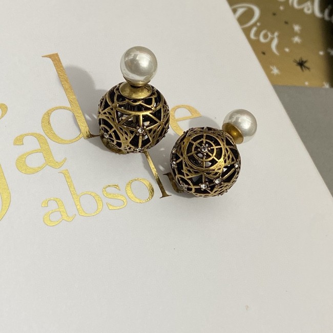 Dior Earring CE16310