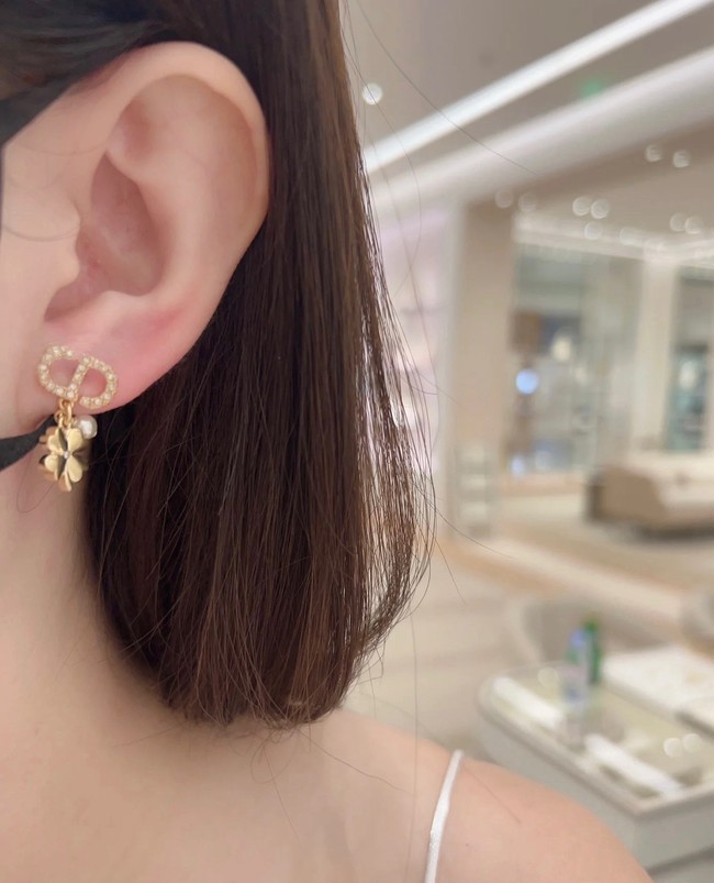 Dior Earring CE16364