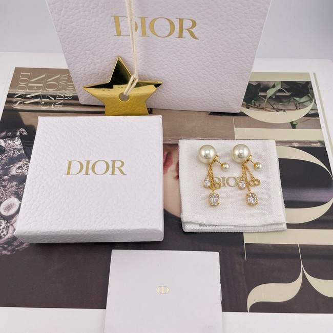 Dior Earring CE16364