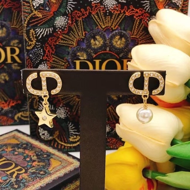 Dior Earring CE16466