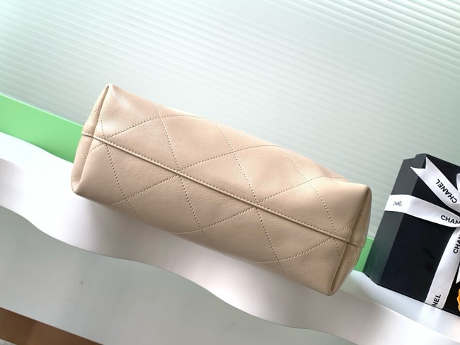 Chanel HOBO HANDBAG AS5425 Beige