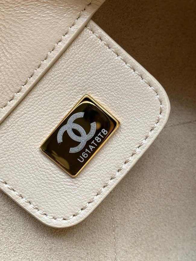 Chanel HOBO HANDBAG AS5425 Beige