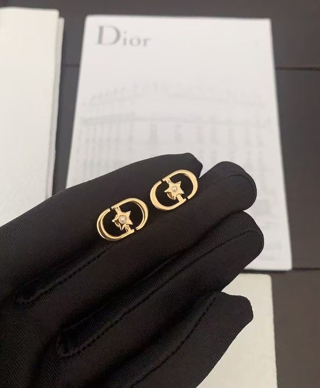 Dior Earring CE16527