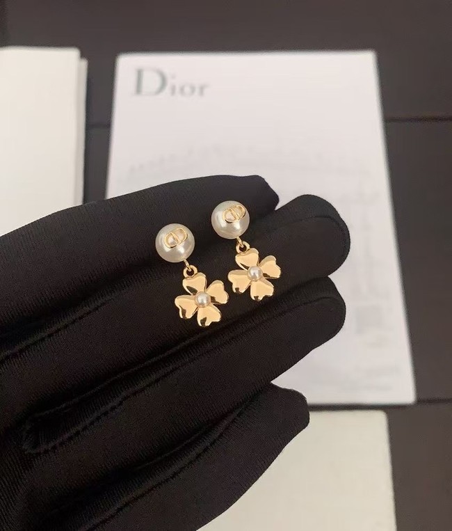 Dior Earring CE16527