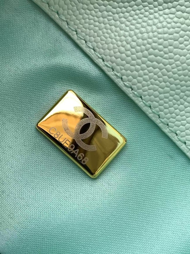 CHANEL 25 SMALL HANDBAG AS5293 Light Green