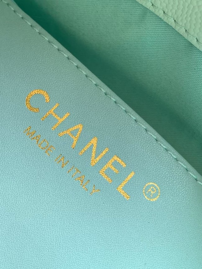 CHANEL 25 SMALL HANDBAG AS5293 Light Green