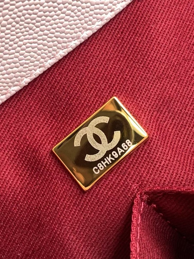 Chanel MINI FLAP BAG WITH TOP HANDLE AS2215-1