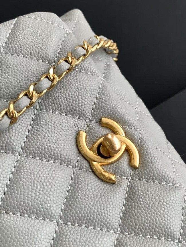 Chanel MINI FLAP BAG WITH TOP HANDLE AS2215-10
