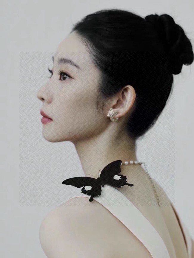 Dior Earring CE16572