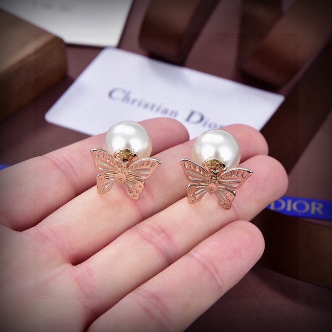Dior Earring CE16572