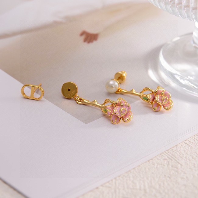 Dior Earring CE16574