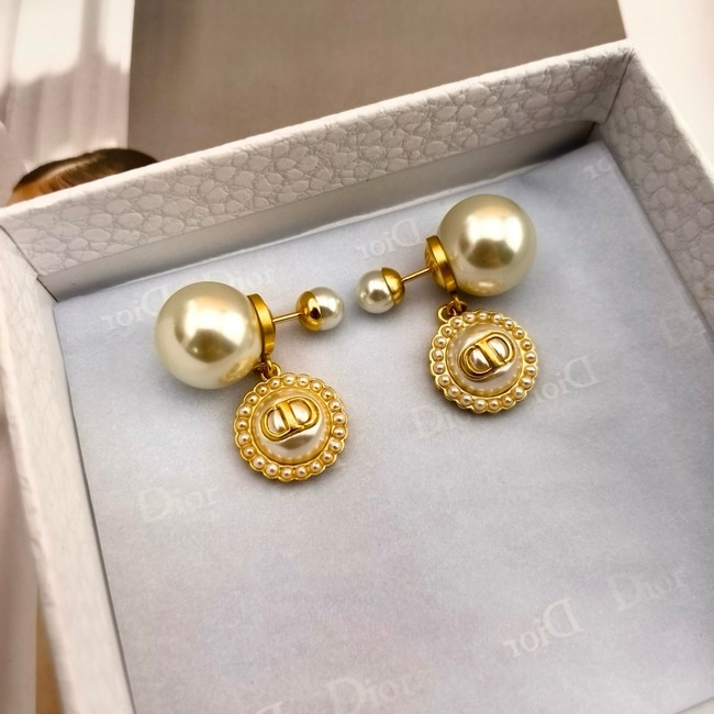 Dior Earring CE16575