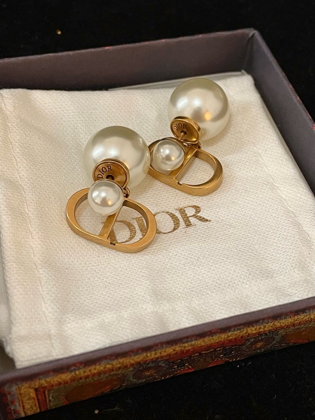 Dior Earring CE16596