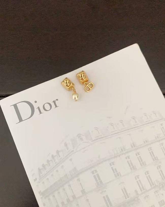 Dior Earring CE16626