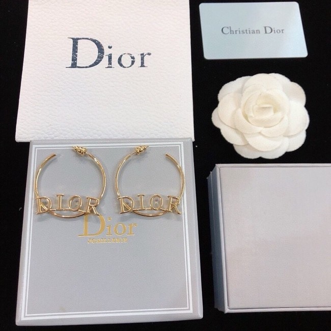 Dior Earring CE16719