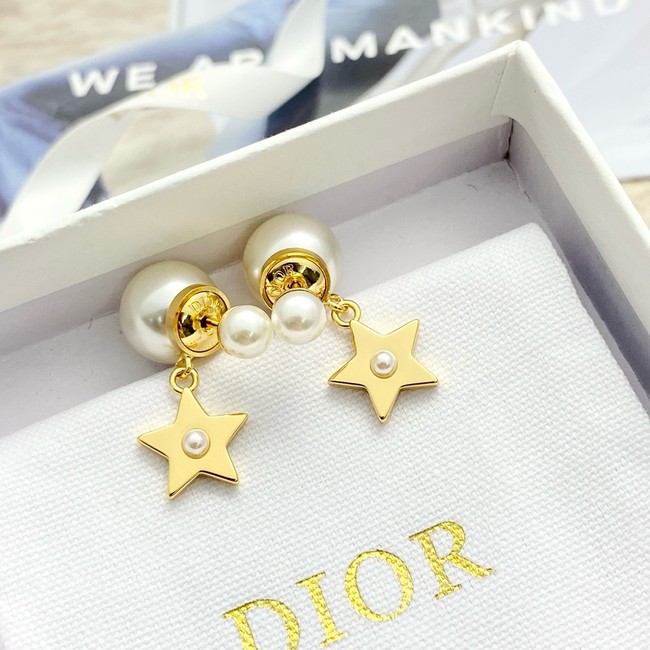 Dior Earring CE16840
