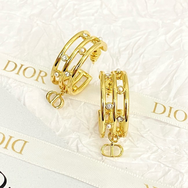 Dior Earring CE16833