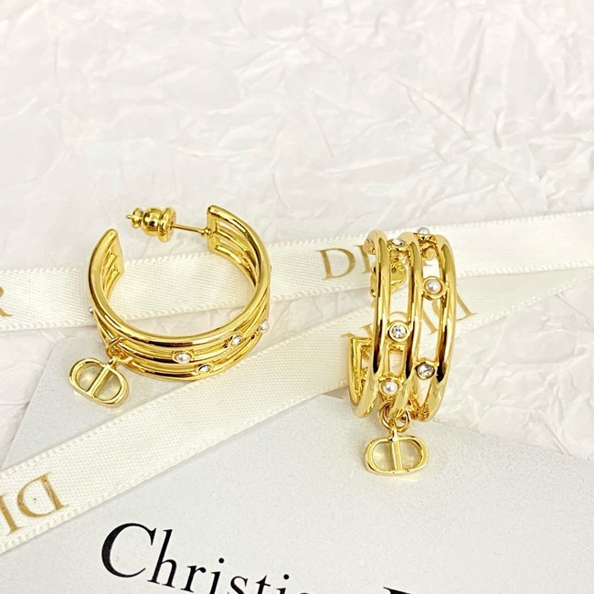 Dior Earring CE16833