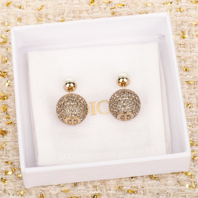 Dior Earring CE16854