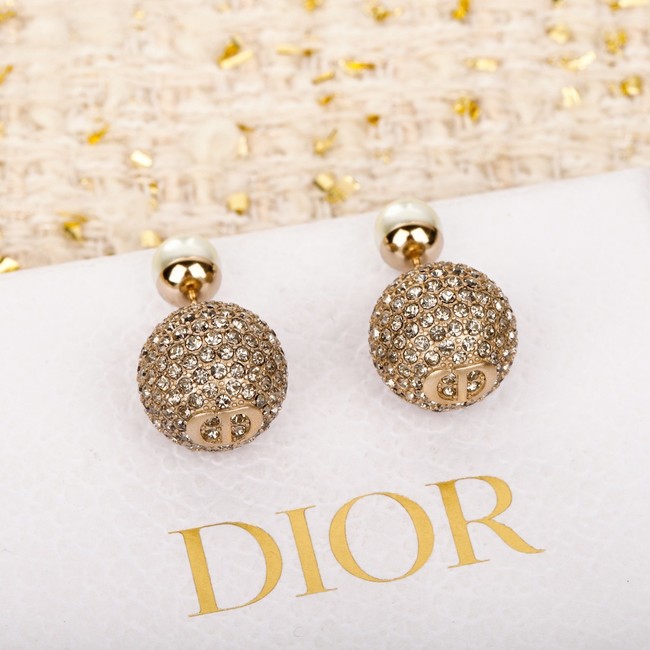 Dior Earring CE16854