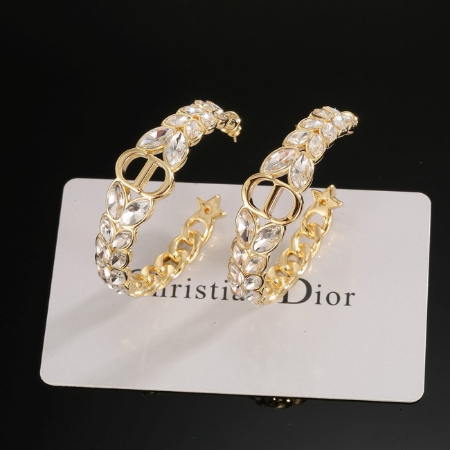 Dior Earring CE16969