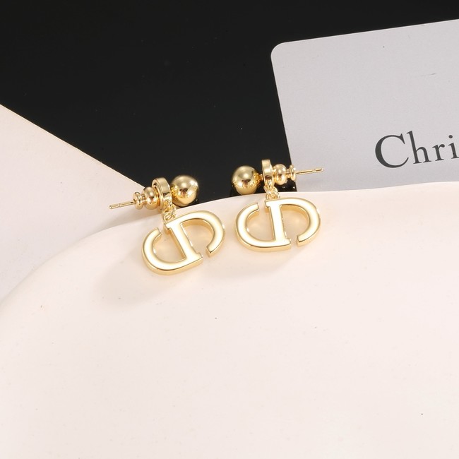 Dior Earring CE16970