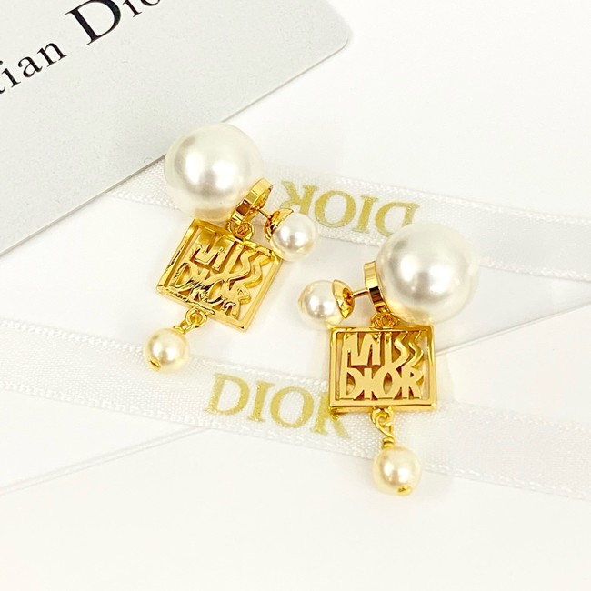 Dior Earring CE16979