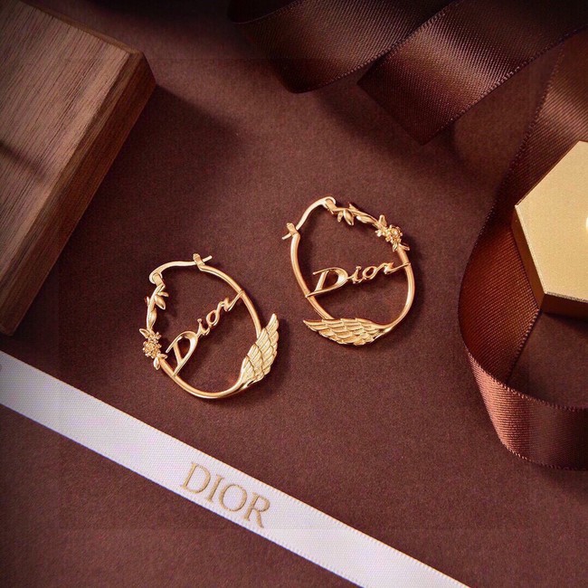Dior Earring CE17014