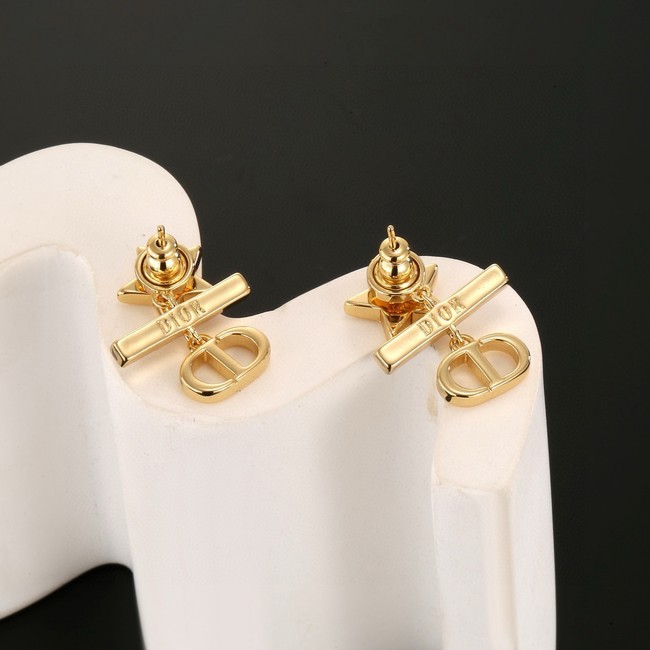 Dior Earring CE17020