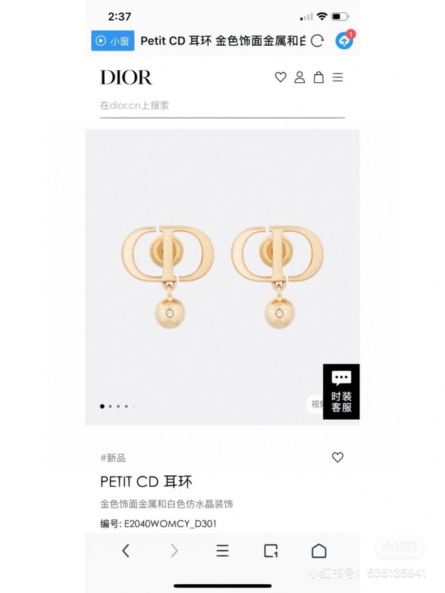 Dior Earring CE17021