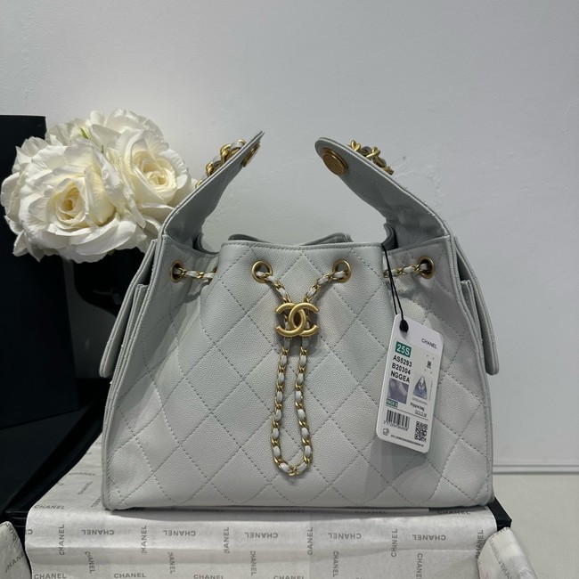 CHANEL 25 SMALL HANDBAG AS5293 light gray