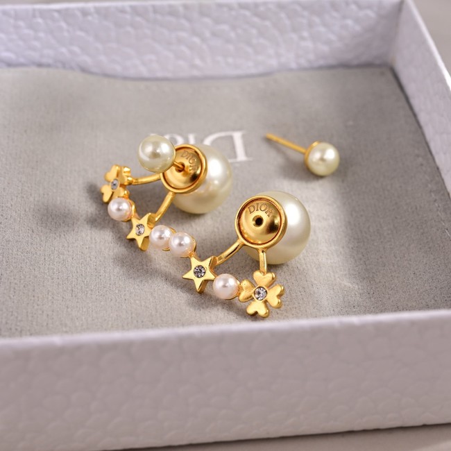 Dior Earrings CE80991