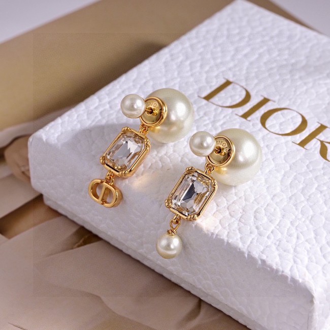 Dior Earring CE81000