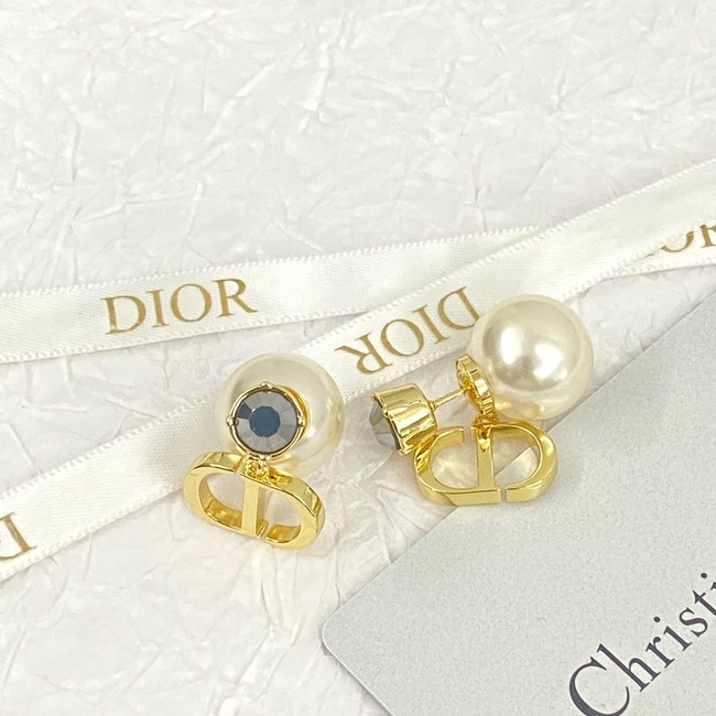 Dior Earring CE81007