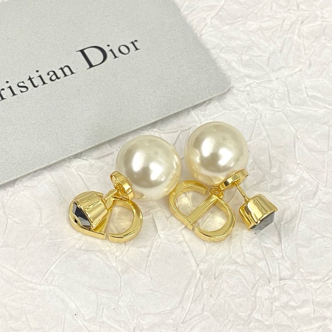 Dior Earring CE81007