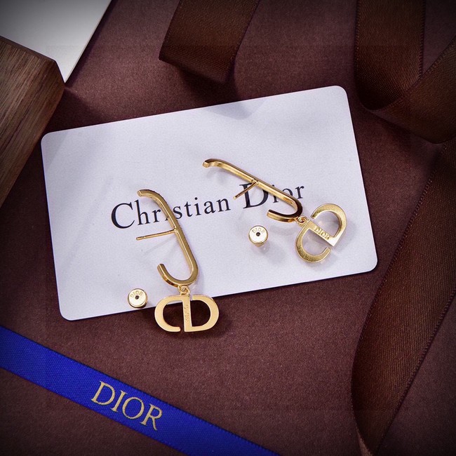 Dior Earring CE81059