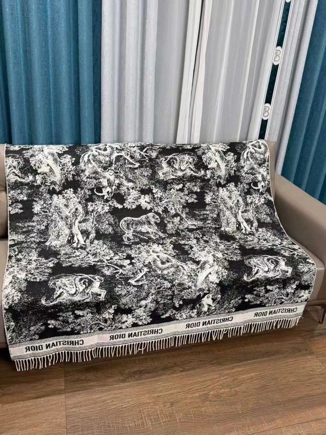 Dior Oblique Poncho Cashmere  21DOB3
