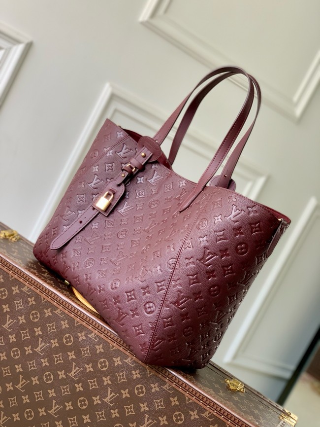 Louis Vuitton NEW All In One MM M25888 Rouge Concerto
