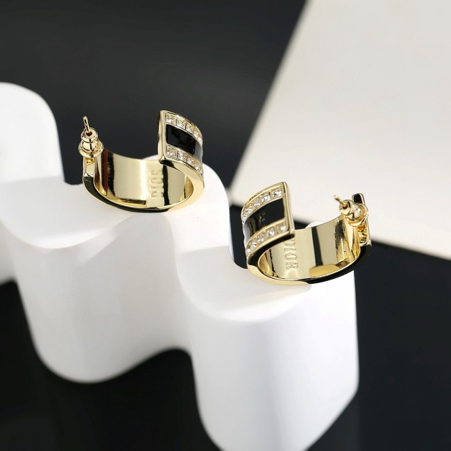 Dior Earring CE81137