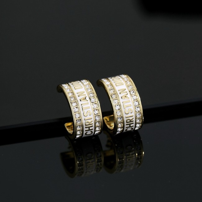 Dior Earring CE81137