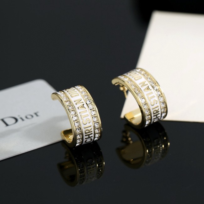 Dior Earring CE81137