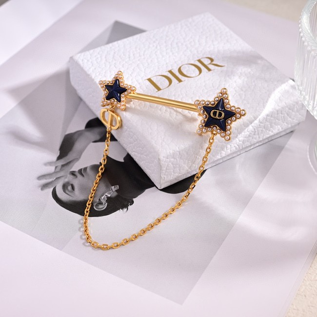 Dior brooch CE81137