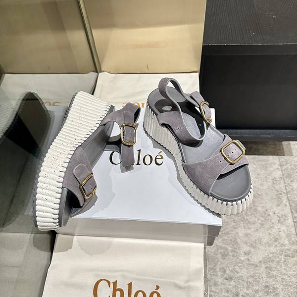 Chloe Shoes COS00018